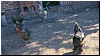 tn_Rajd_z_AS-em_025.jpg