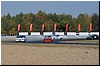 146.jpg