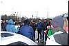 tn_DSC_5595.JPG