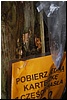 tn_DSC_5621.JPG