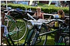DSC_5817.JPG