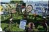 DSC_5822.JPG
