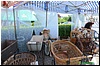 DSC_5882.JPG