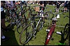DSC_5951.JPG