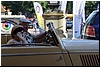 tn_DSC_0034.JPG