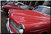 tn_DSC_0161.JPG