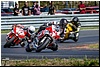 DSC_3134.jpg