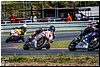 DSC_3138.jpg