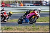 DSC_3140.jpg