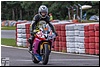 DSC_3296.jpg