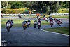 DSC_3421.jpg