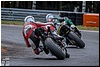 DSC_3590.jpg