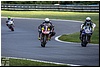 DSC_4375.jpg