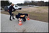 tn_DSC_0045.JPG