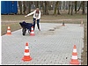 040.JPG