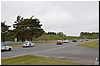 DSC_0419.JPG