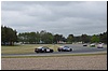 DSC_0510.JPG