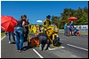 2805-start-998.jpg