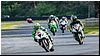 2805-rookie600-497.jpg