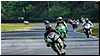 2805-rookie600-498.jpg