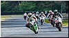 2805-rookie600-500.jpg