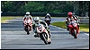 2805-rookie600-502.jpg