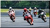 2805-rookie600-503.jpg