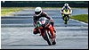 2805-rookie600-504.jpg