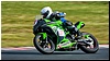 2805-rookie600-507.jpg
