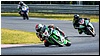 2805-rookie600-509.jpg