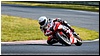 2805-rookie600-511.jpg