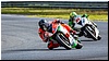 2805-rookie600-512.jpg