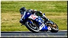 2805-rookie600-515.jpg