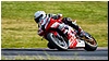 2805-rookie600-516.jpg