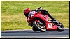 2805-rookie600-517.jpg