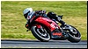2805-rookie600-518.jpg