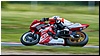 2805-rookie600-521.jpg