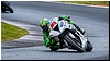 2805-rookie600-522.jpg