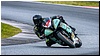 2805-rookie600-523.jpg