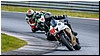 2805-rookie600-524.jpg