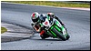 2805-rookie600-525.jpg
