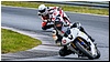 2805-rookie600-527.jpg