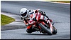 2805-rookie600-528.jpg