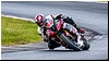 2805-rookie600-529.jpg