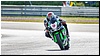 2805-rookie600-533.jpg