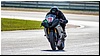 2805-rookie600-534.jpg