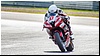 2805-rookie600-535.jpg