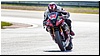 2805-rookie600-536.jpg