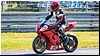 2805-rookie600-540.jpg