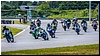 2805-rookie600-542.jpg
